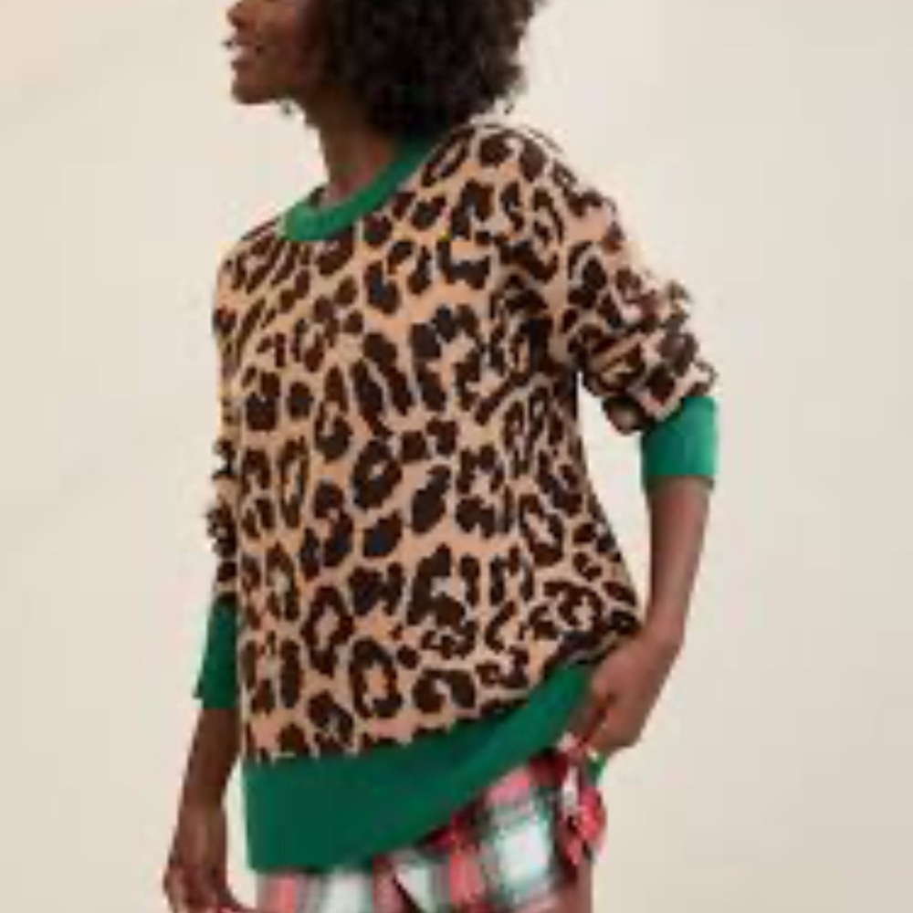 Aerie Leopard Print Sweater with Green Accents
